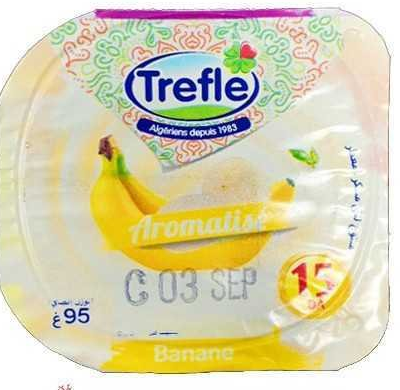 Trefle Yaourt Aromatisé 95 G 